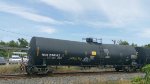 TCLX 290162